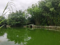 -云南勐巴娜西珍奇园