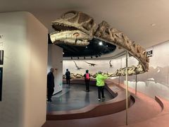 -自贡恐龙博物馆