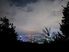 -长虫山生态公园风景林
