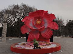 -万泉公园