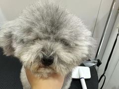 -佐罗家宠物馆·猫文化馆(紫霞路店)