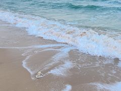 -贝壳沙滩