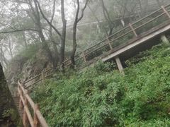 -牛背梁国家森林公园
