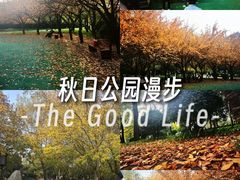 -唐城墙遗址公园