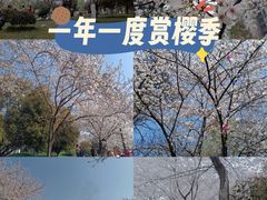-堤角公园
