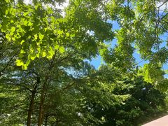 -荔湾区儿童公园