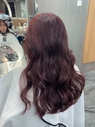 -SY COLOUR专业烫染
