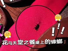 -花马天堂云南餐厅 Lost Heaven(高邮路店)