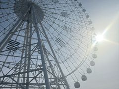 -特克斯八卦城