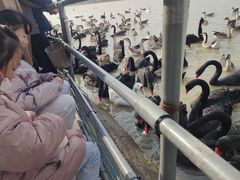 -艾溪湖湿地公园