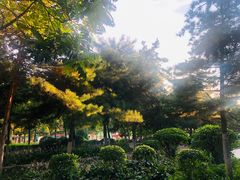 -张学良旧居陈列馆
