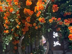 -循礼门鲜花花市(武汉循礼门店)