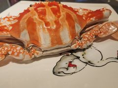 -金燕岛潮州酒楼