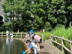 -成都市活水公园