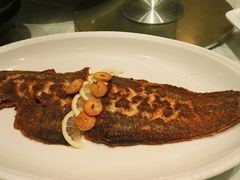 龙利鱼-皇朝尊会(龙之梦大酒店)