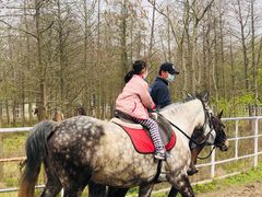 -上海海湾国家森林公园