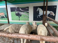 -揭东万竹园旅游景区