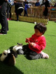 -萌宠亲子动物乐园(槐房万达店)