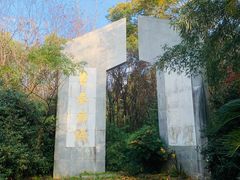-东平国家森林公园