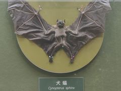 -国家自然博物馆