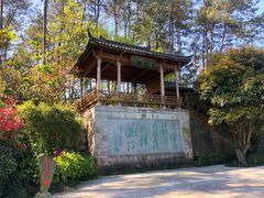 -千岛湖东南湖区
