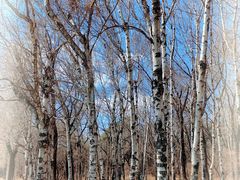 -长春市南湖公园