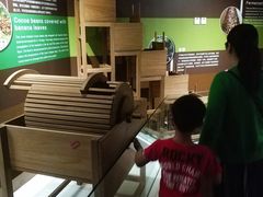 -歌斐颂巧克力小镇