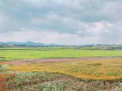 -光明小镇欢乐田园