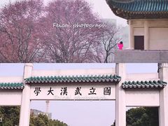 -武汉大学-樱园