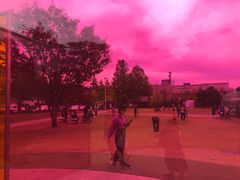 -金泽21世纪美术馆