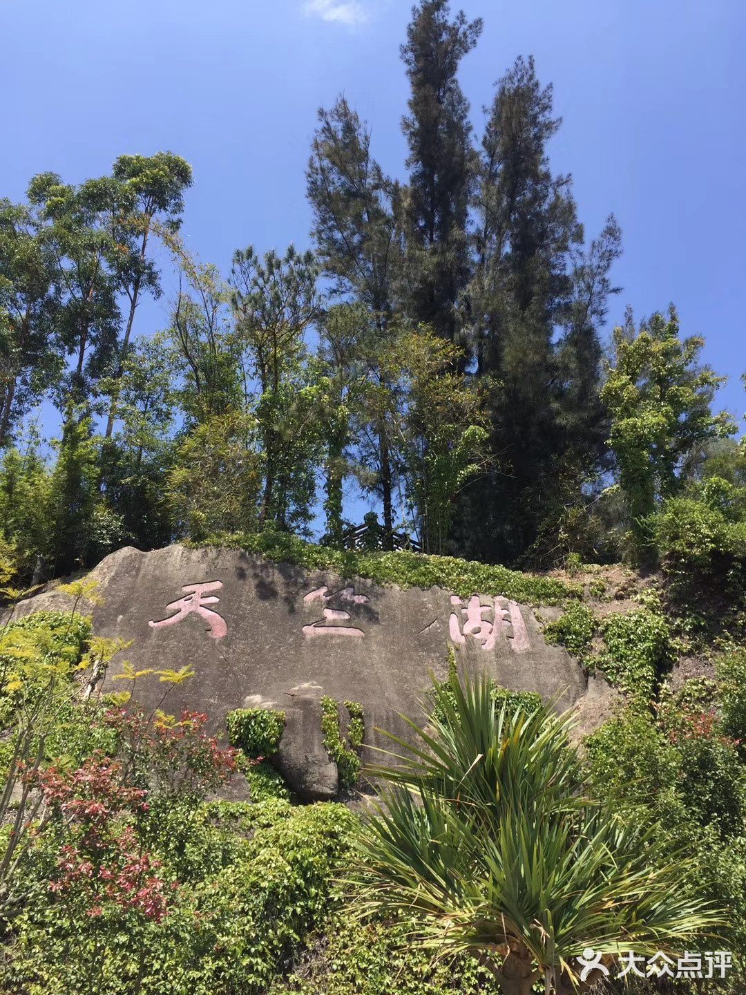 天竺山國家森林公園位於廈門西郊海滄區的東孚鎮