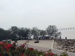 -宝安西湾红树林湿地公园