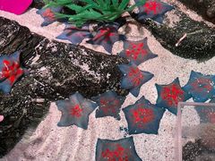 -沈阳海洋探索中心