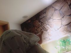 -麦子MaiMassage(打浦桥店)
