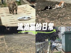 -南京邮电大学(仙林校区)