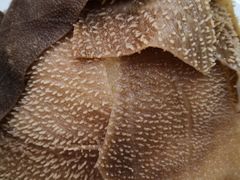 -红菇坊鲜汤火锅(北站店)