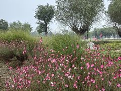 -汉长安城未央宫国家考古遗址公园