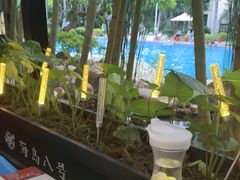 -海岛八号龙虾烧烤田鸡(蓝天路总店)