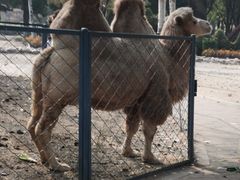 -长白岛森林公园