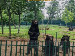 -秦皇岛野生动物园