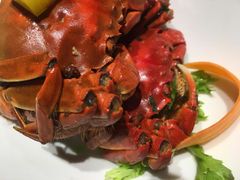 -欣旺·迎宾楼·百年无锡菜