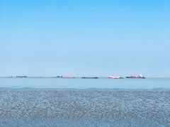 -上海吴淞炮台湾国家湿地公园