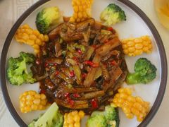 -一盏明灯全素斋(五爷庙店)