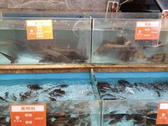 水产区-饭怕鱼(阳光100店)