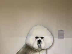 -蓬皮杜艺术中心