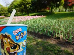 -上海鲜花港