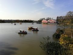 -上海长兴岛郊野公园