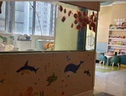 -杭州贝瑞斯美华妇儿医院·早孕·产检·儿科