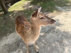 -宁波杭州湾国家湿地公园