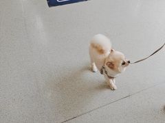 -宠颐生宠物医院·异宠猫科内科·诊疗中心宠巢店